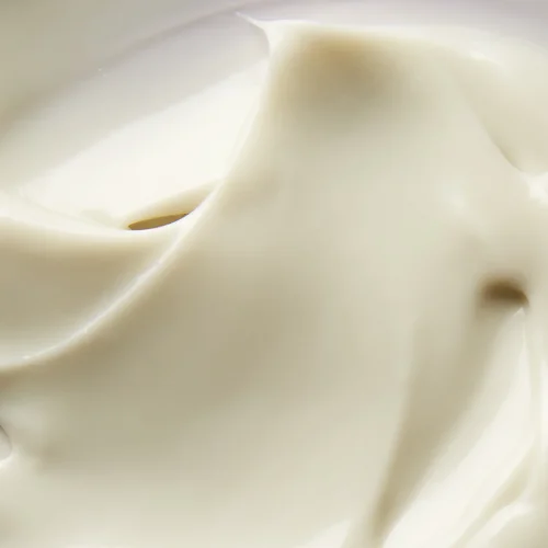 Superfood Day Cream 50ml afbeelding 2